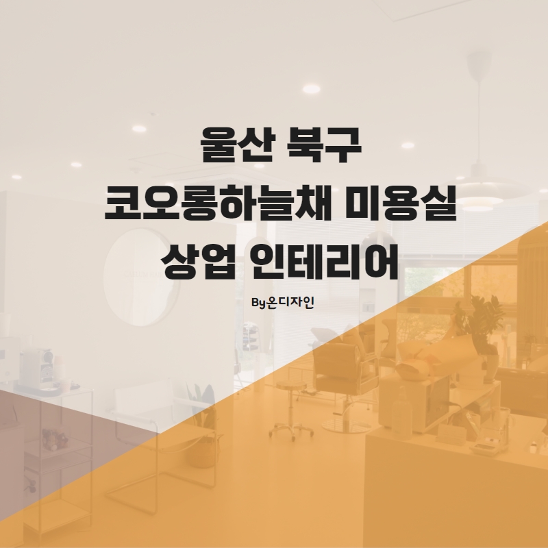 코오롱미용실 이미지