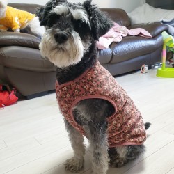 깜시네 이미지