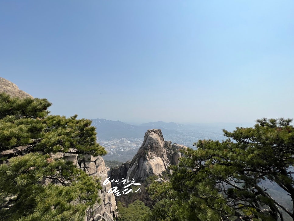 한국통닭 이미지