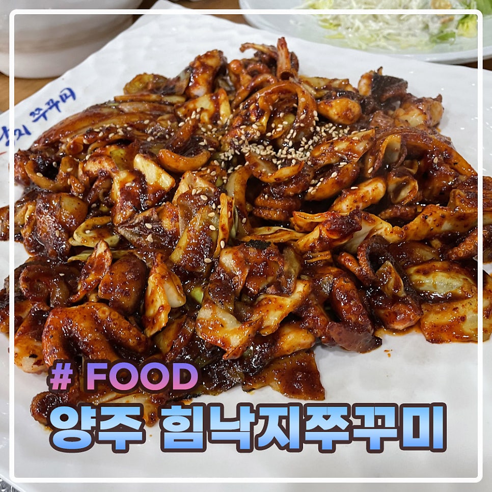 힘낙지쭈꾸미 이미지