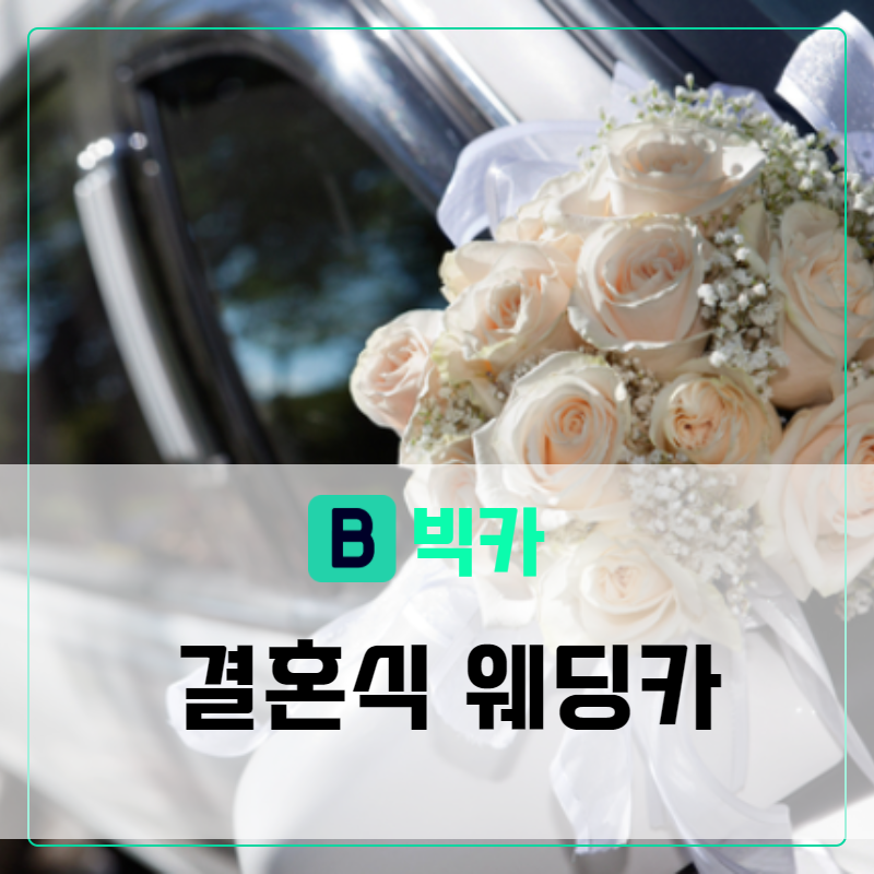 빅카 이미지