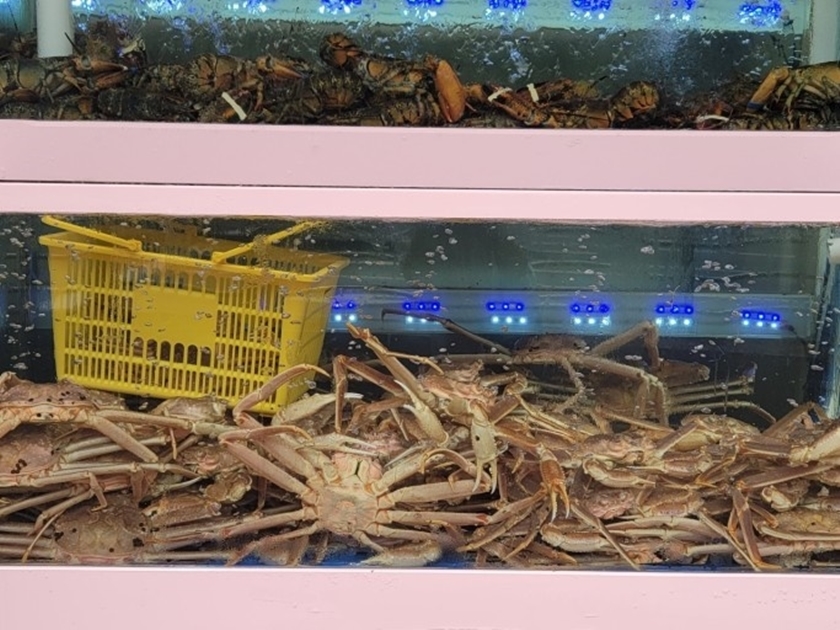 어서오시게 분당판교점 이미지