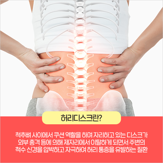 더디스크 이미지