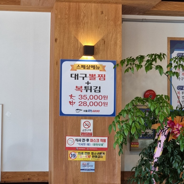 국이오 비산점 이미지