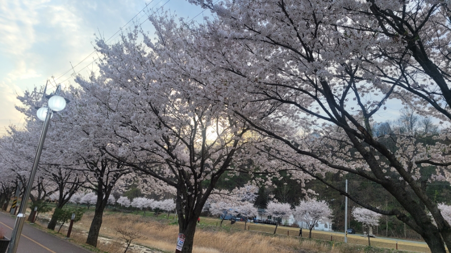 (주)용문여행 이미지