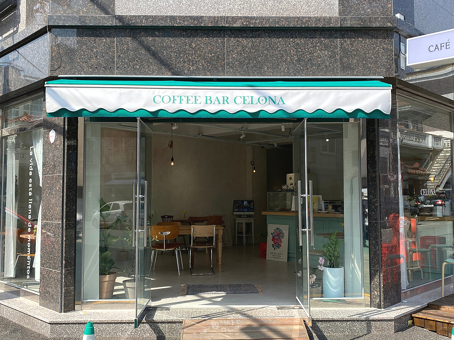 셀로나(Celona) 이미지