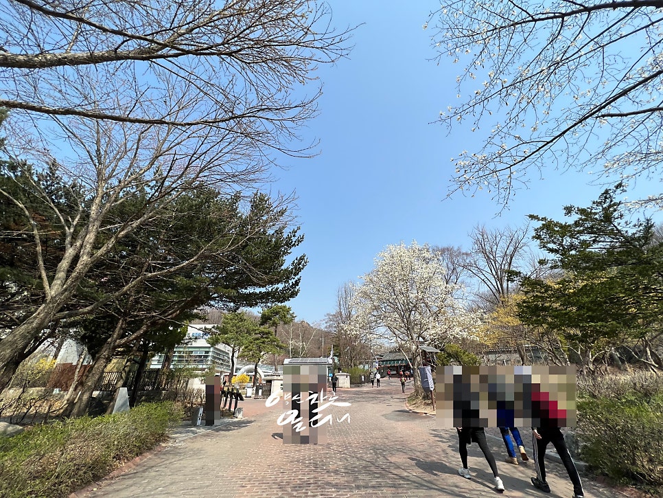 한국통닭 이미지