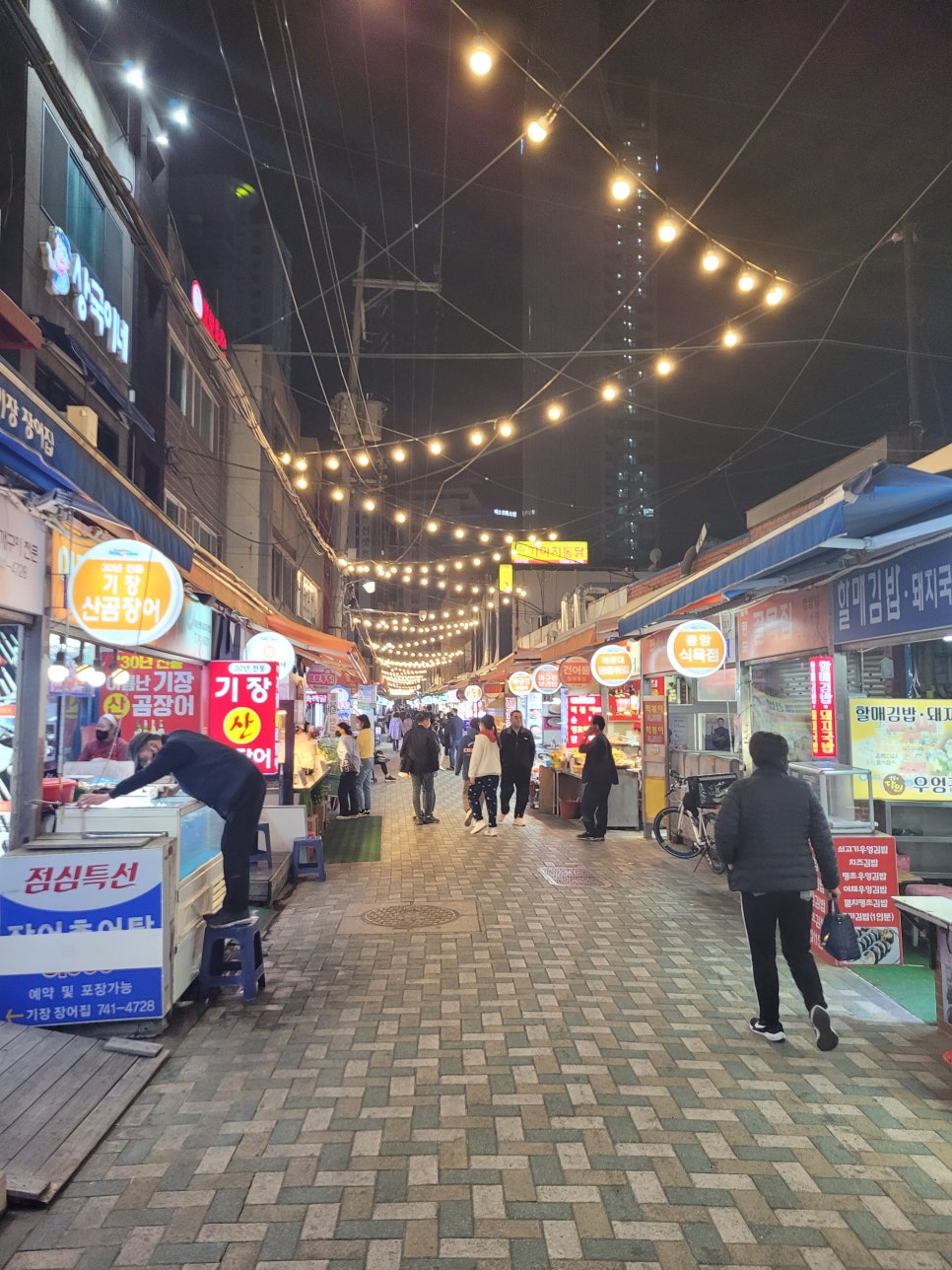 살아있네산곰장어 이미지