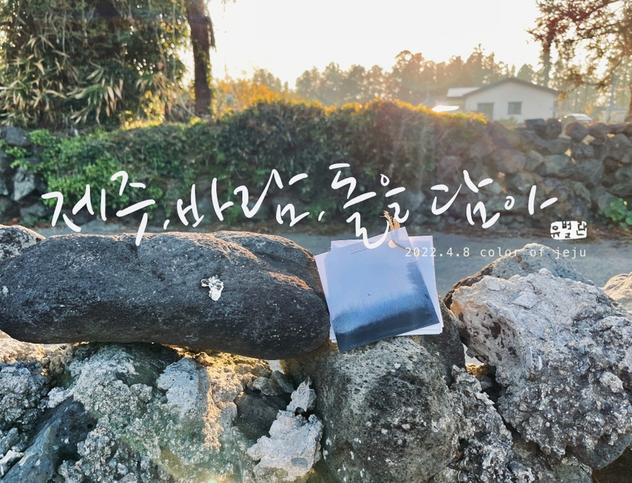 탐라캘리그라피 이미지
