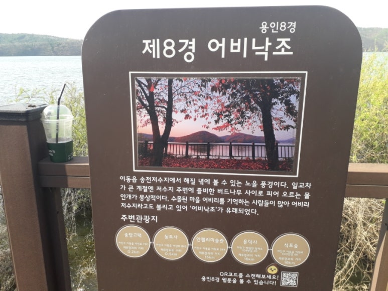 용인민물매운탕 이미지