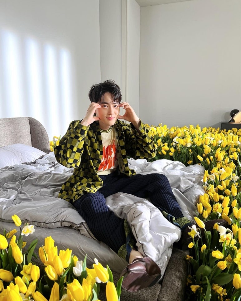 수호2 이미지