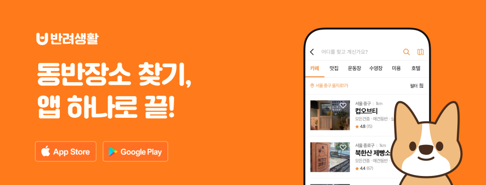 리미온 아트스튜디오 이미지