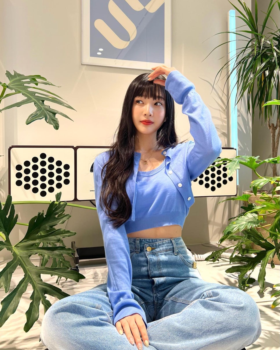 조이식물 이미지
