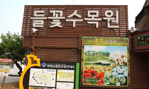 들꽃수목원 이미지