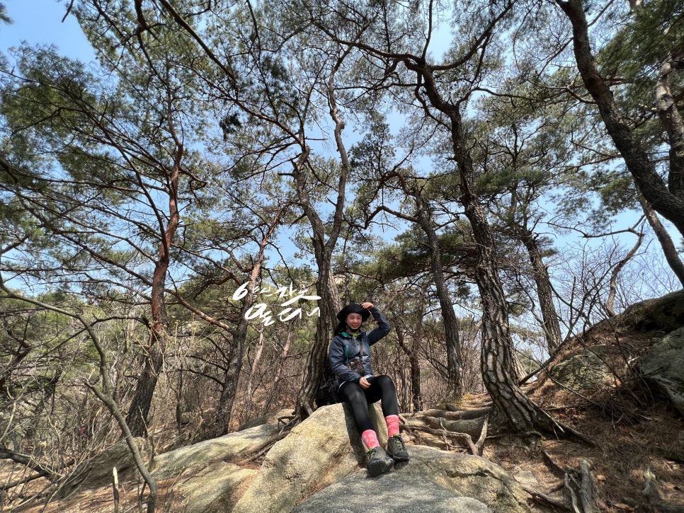 한국통닭 이미지
