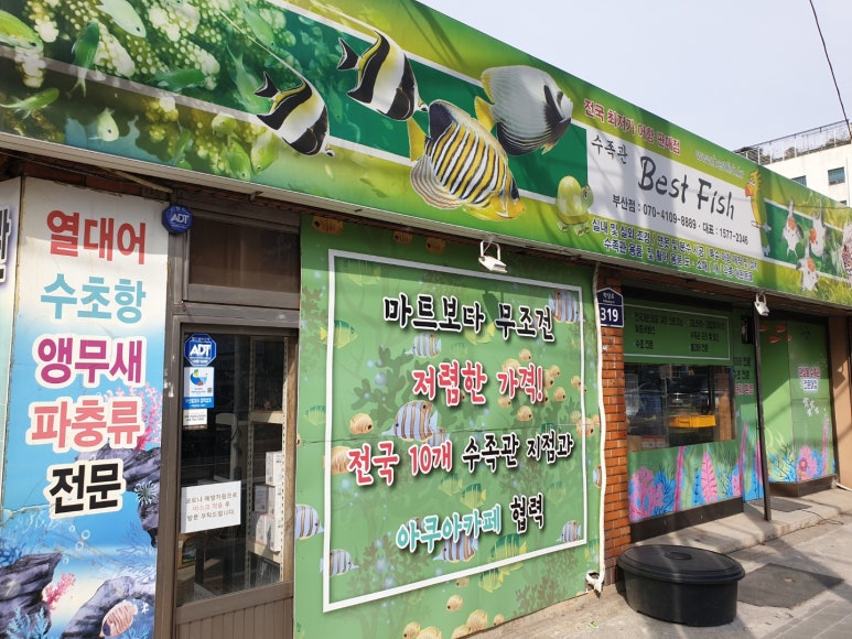 피쉬마트수족관 이미지
