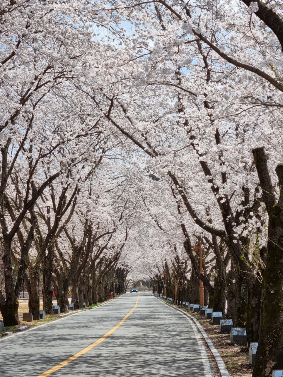 삼보렌탈산업 이미지