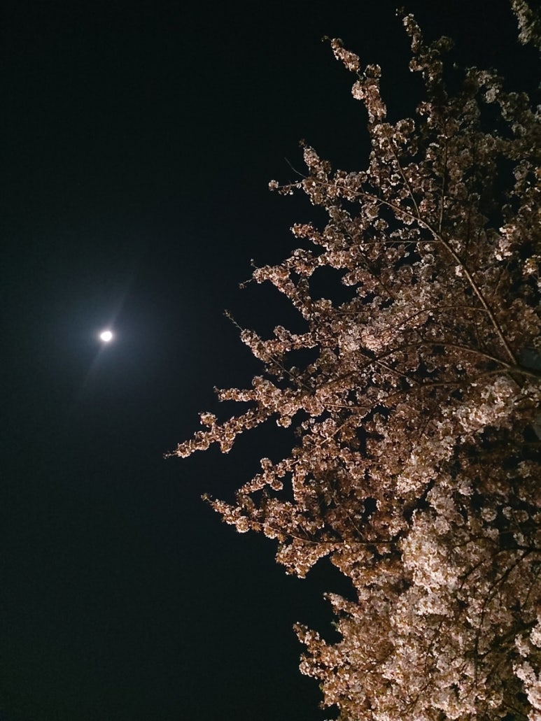 (주)꽃보다 크린 이미지