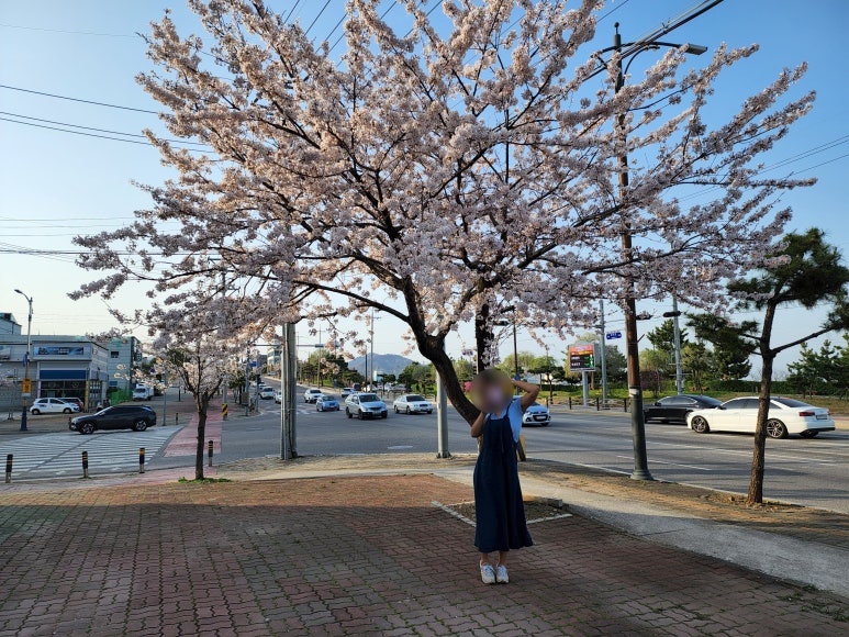 어촌댁 이미지