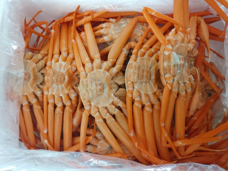 경대수산 이미지