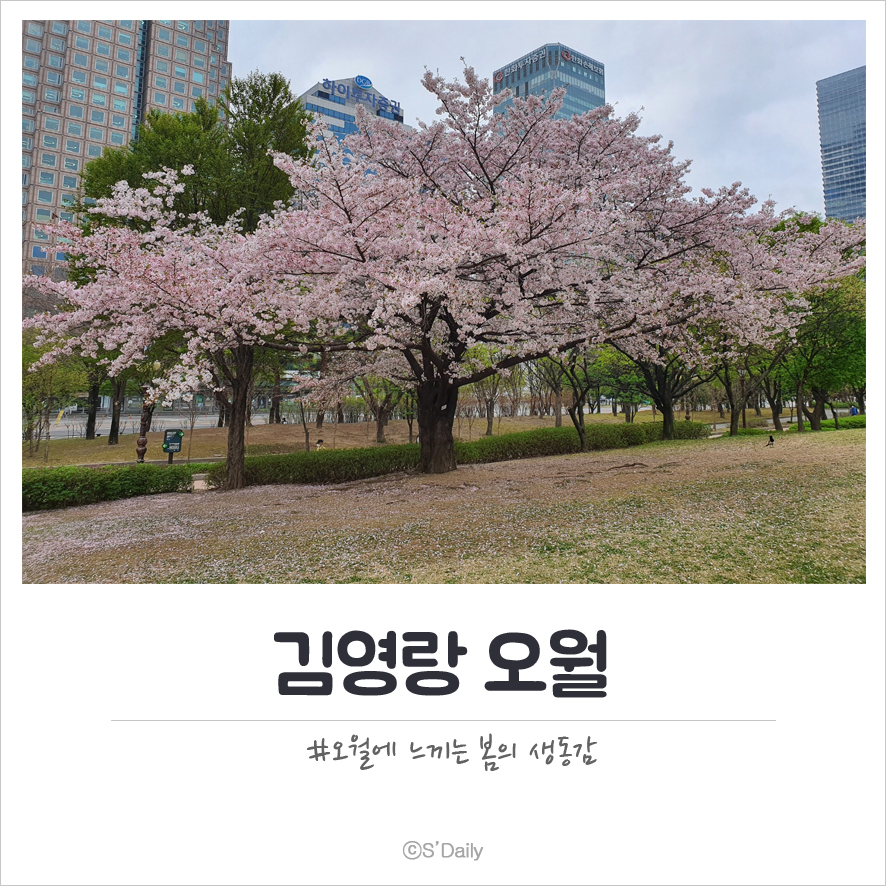 김영랑 오월 해석 및 분석 주제 핵심정리 : 네이버 블로그