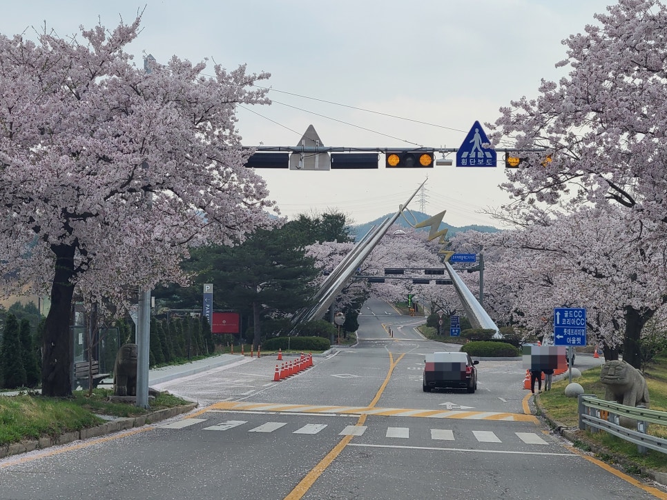 훼미리하우스콘도 이미지