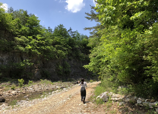 마음숲심리상담센터 이미지