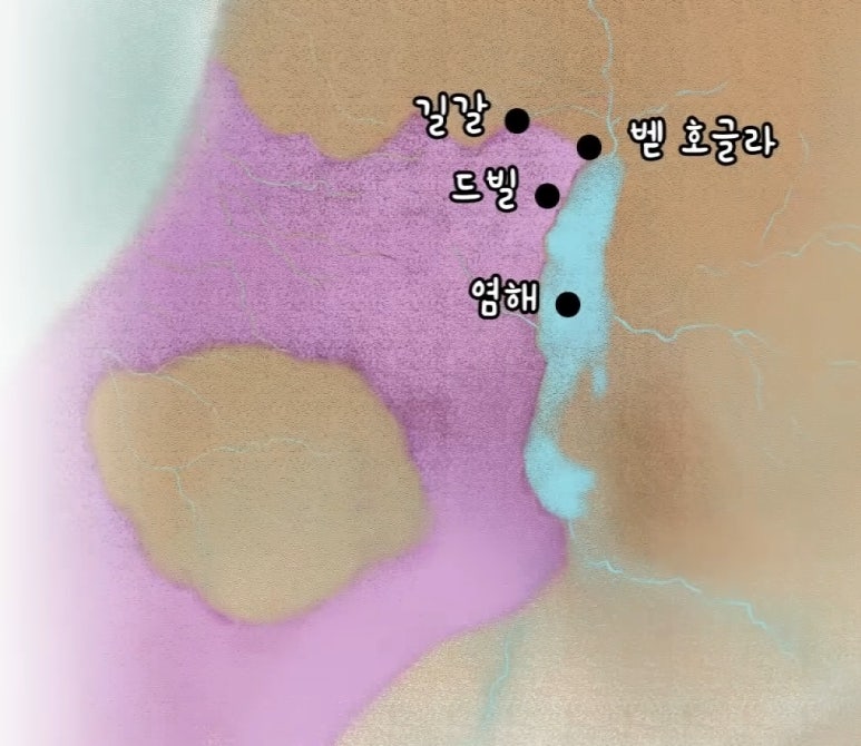 엔로겔 이미지