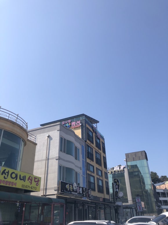 남애항물회 이미지