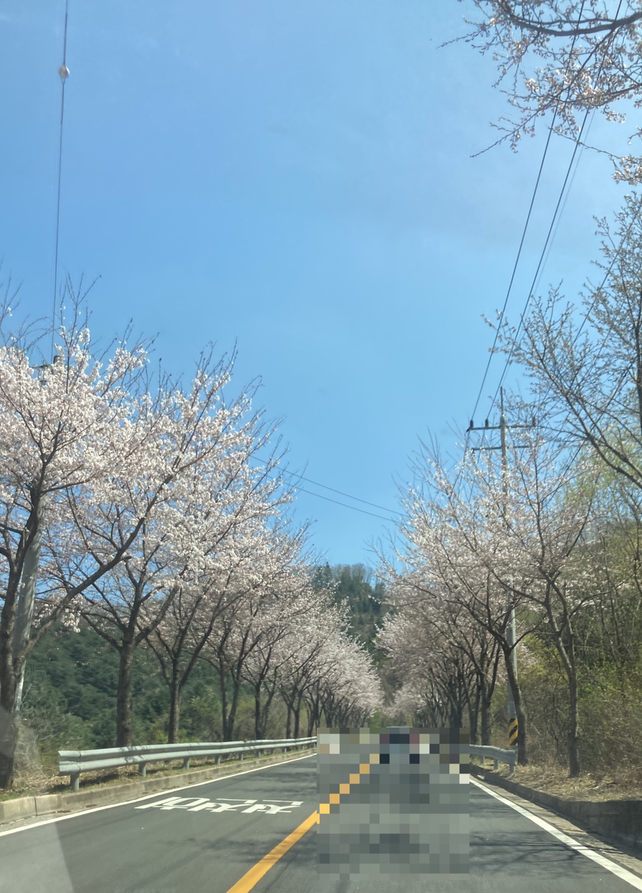 차필수 이미지