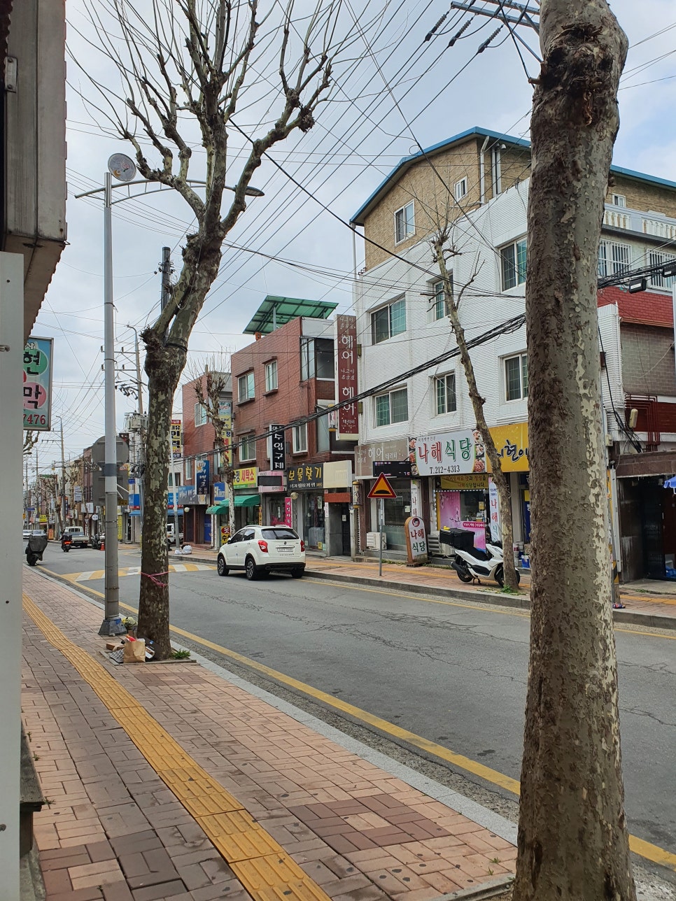 테이저(TAZER) 이미지