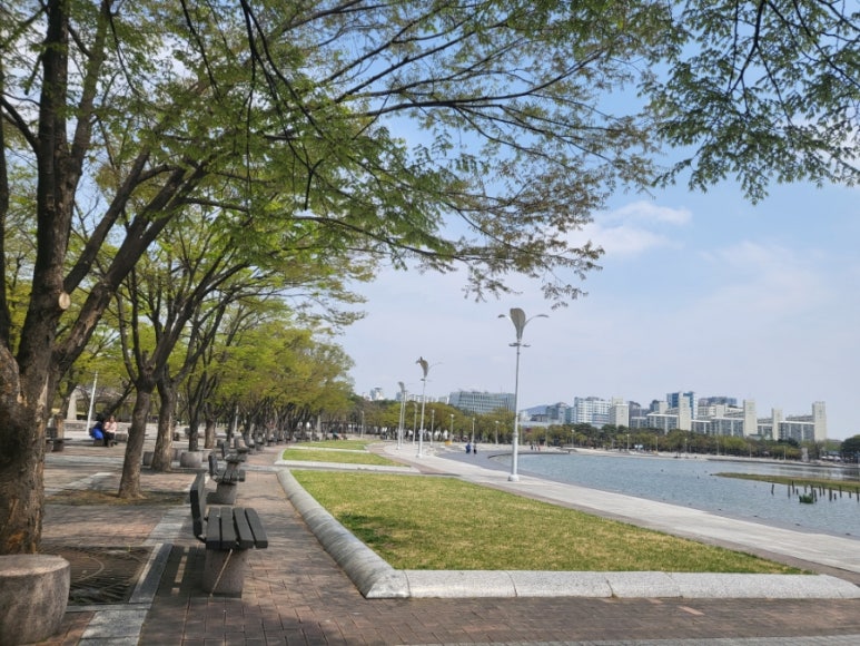취하는 연못 이미지