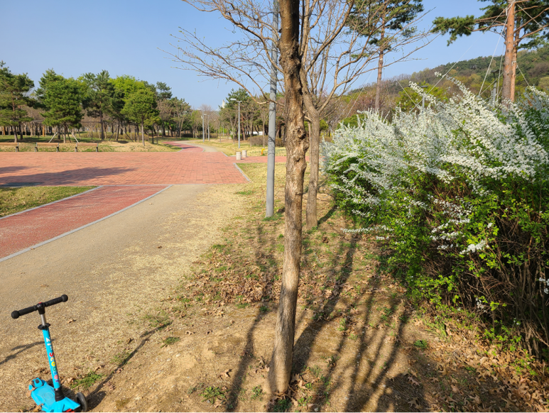 서재체육공원 이미지