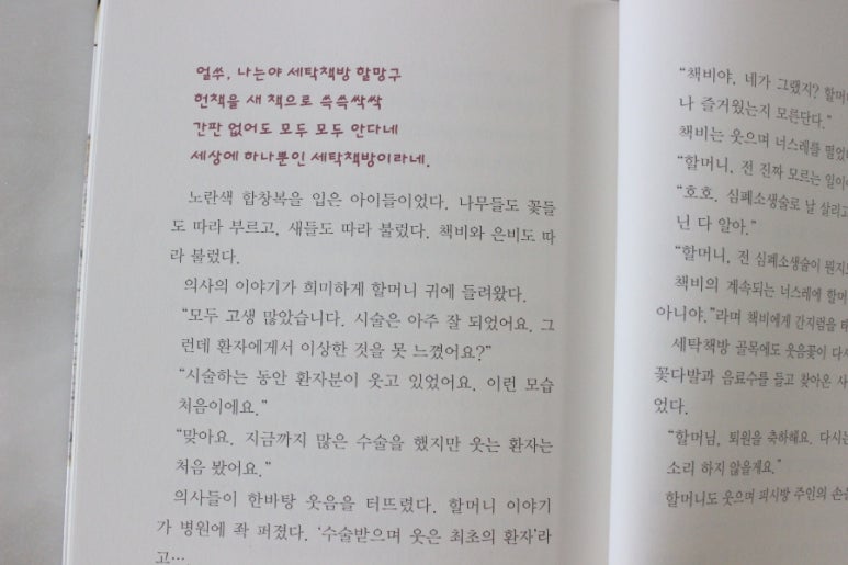 은비수선 이미지