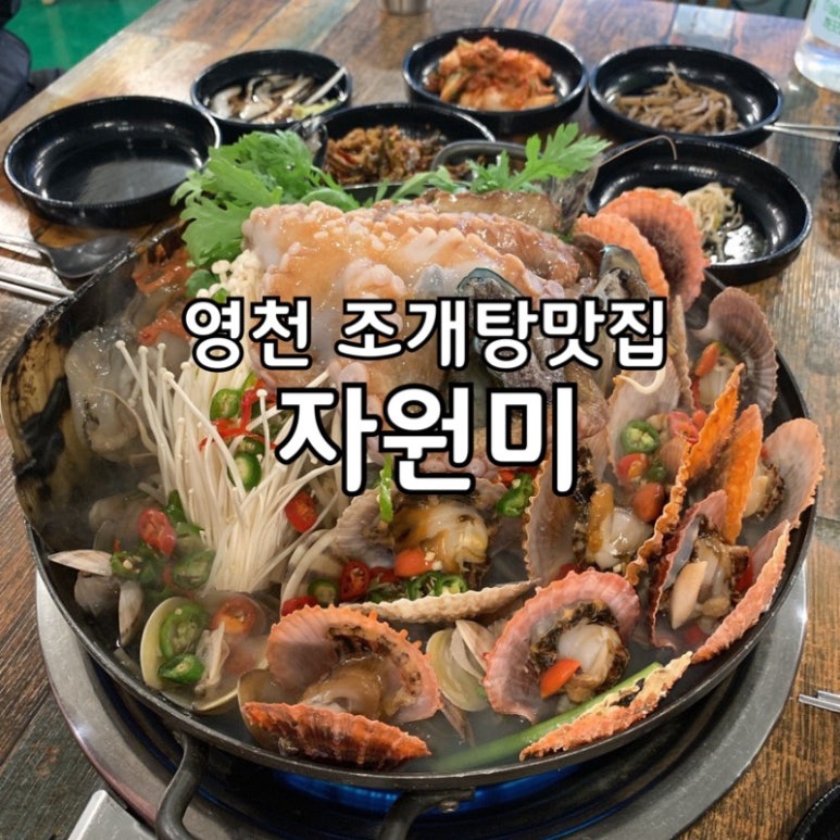 자원미 이미지