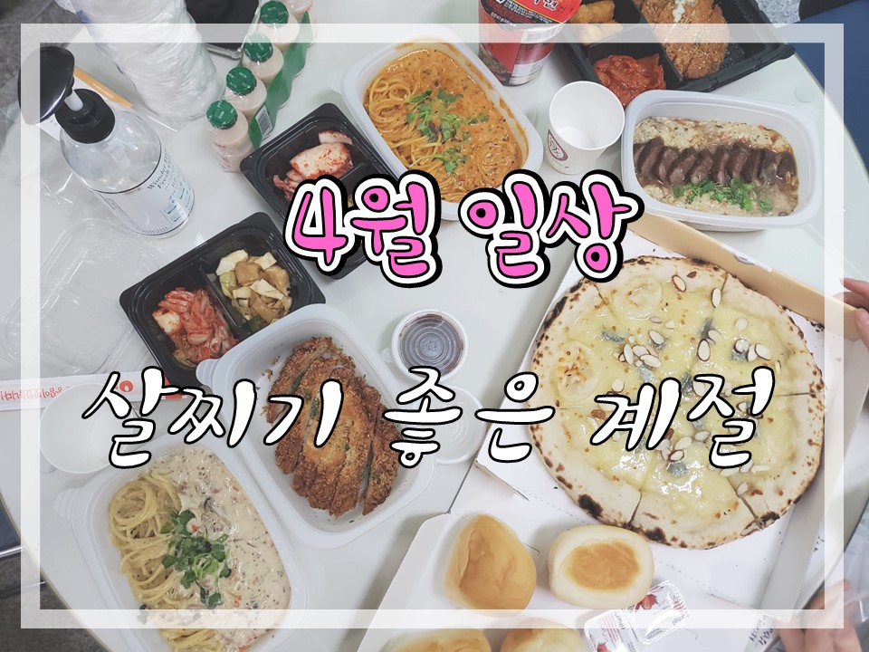 밀크브로 이미지