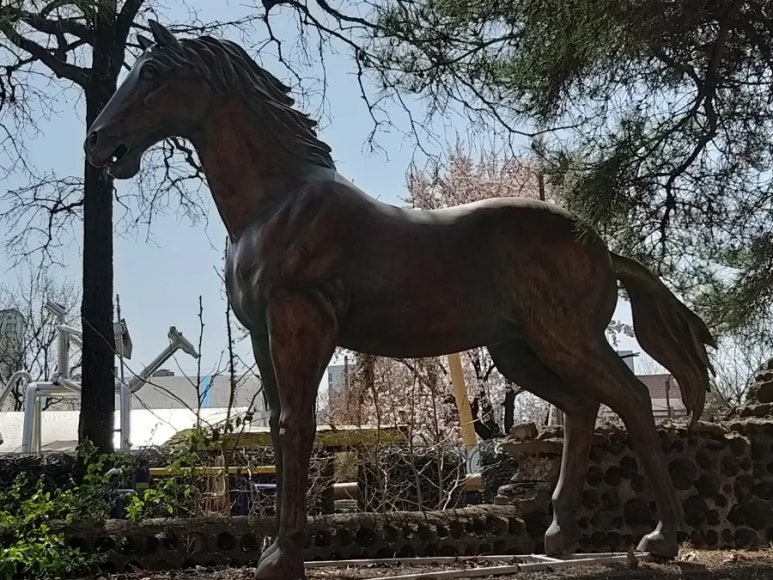 포도밭집 이미지