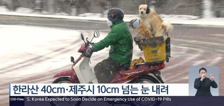 삼삼구이 이미지