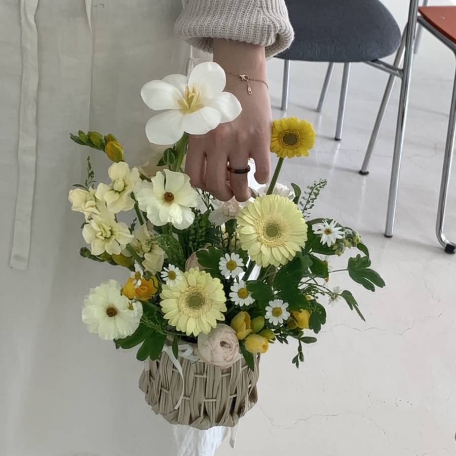본비플레르 이미지