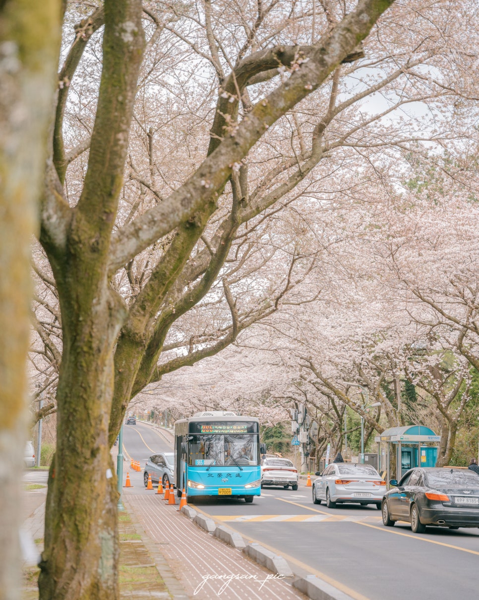 이삭토스트제주 이미지