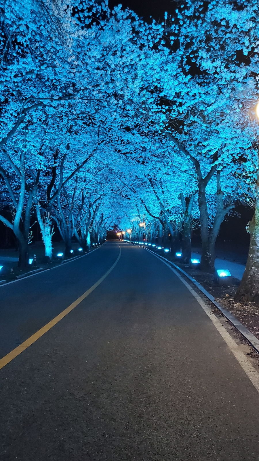 마이산꽃펜션 이미지