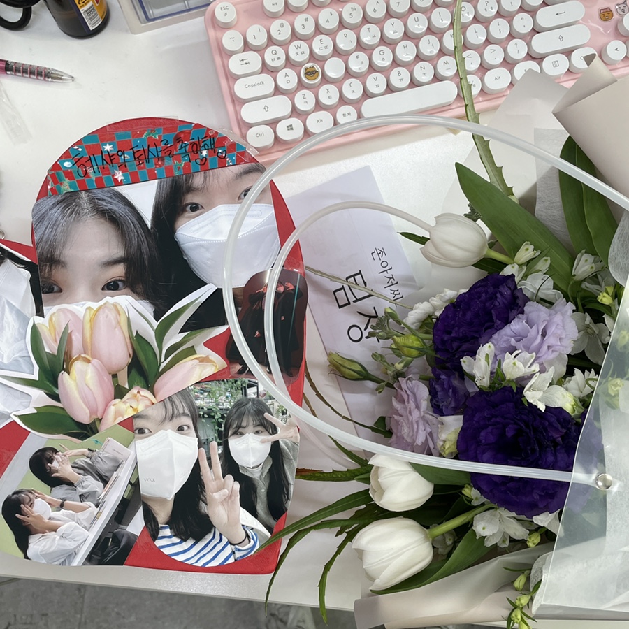 혜샤 이미지