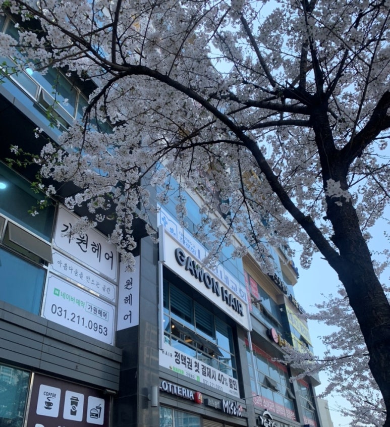 가원헤어 이미지