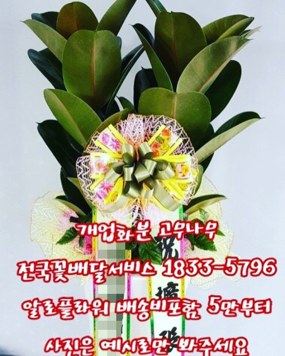 의료법인 대구의료재단 케이병원 이미지