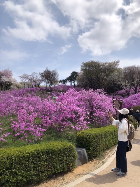 (주)동산만두 이미지