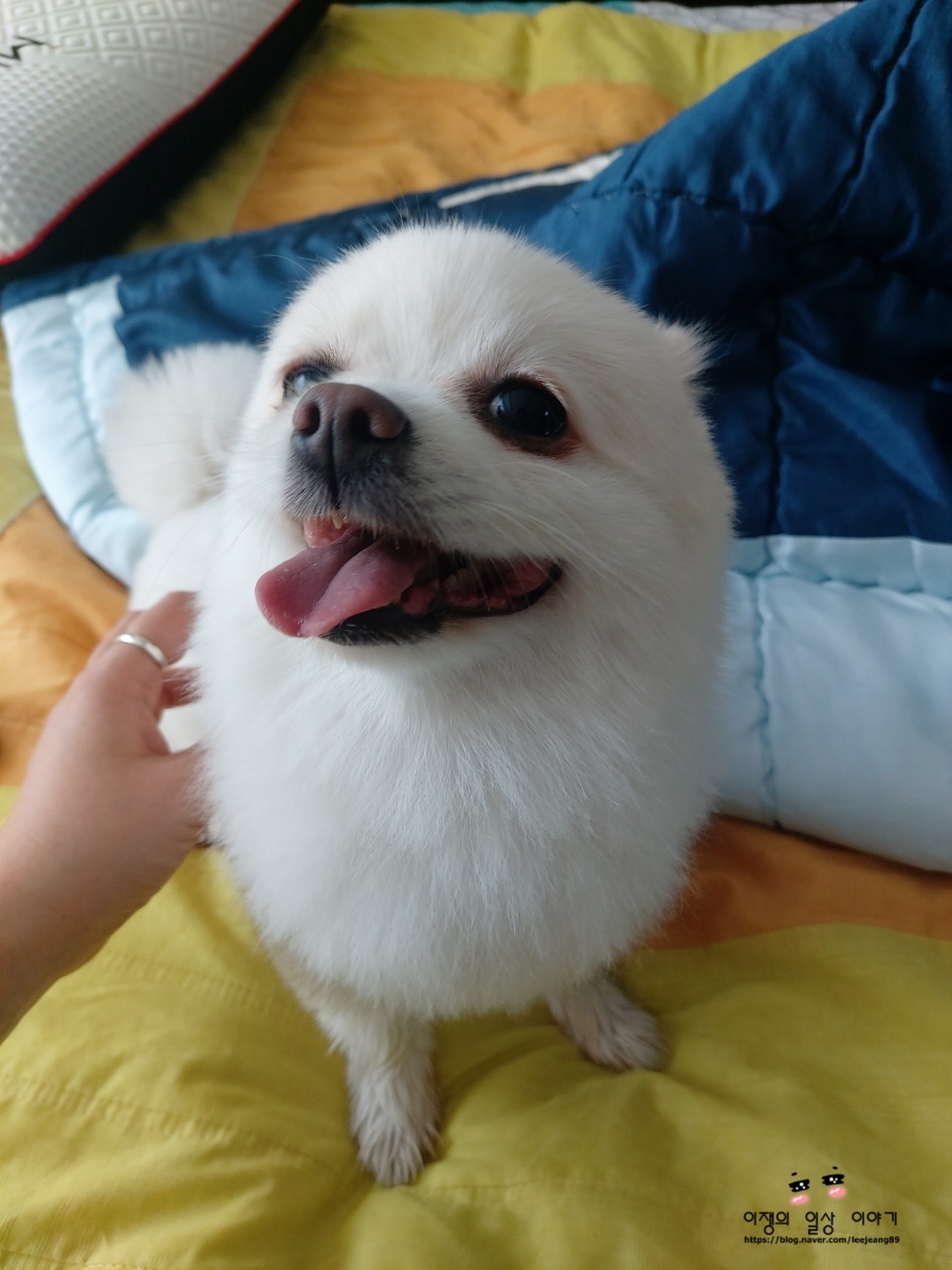 네일오브쥬 이미지