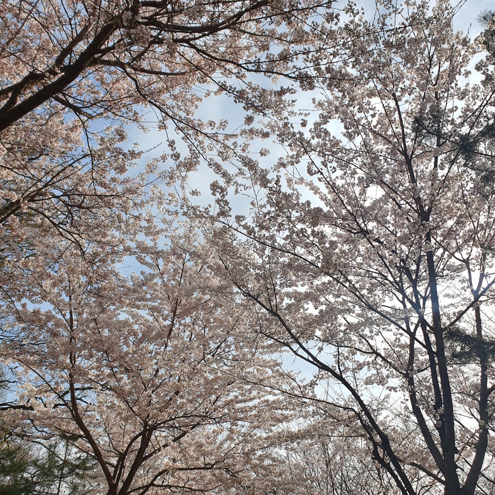 스튜디오일리 이미지
