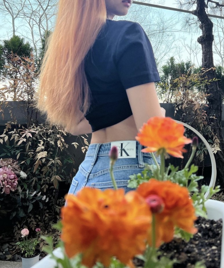 오렌지헤어 이미지