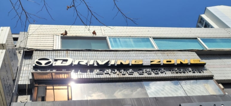 드라이빙존운전면허목동 이미지