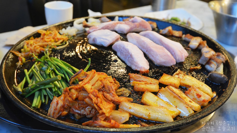니가사는고기 이미지